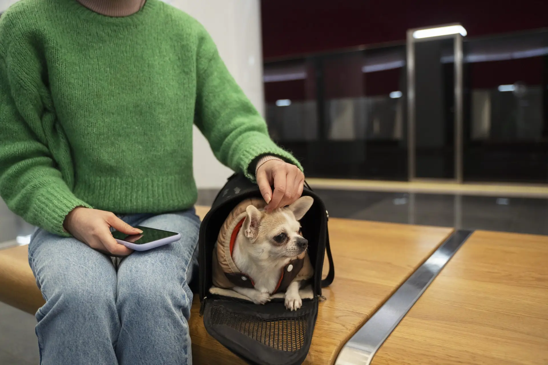 Blogs 18 How long can you board a dog? Length, approval, and care tips