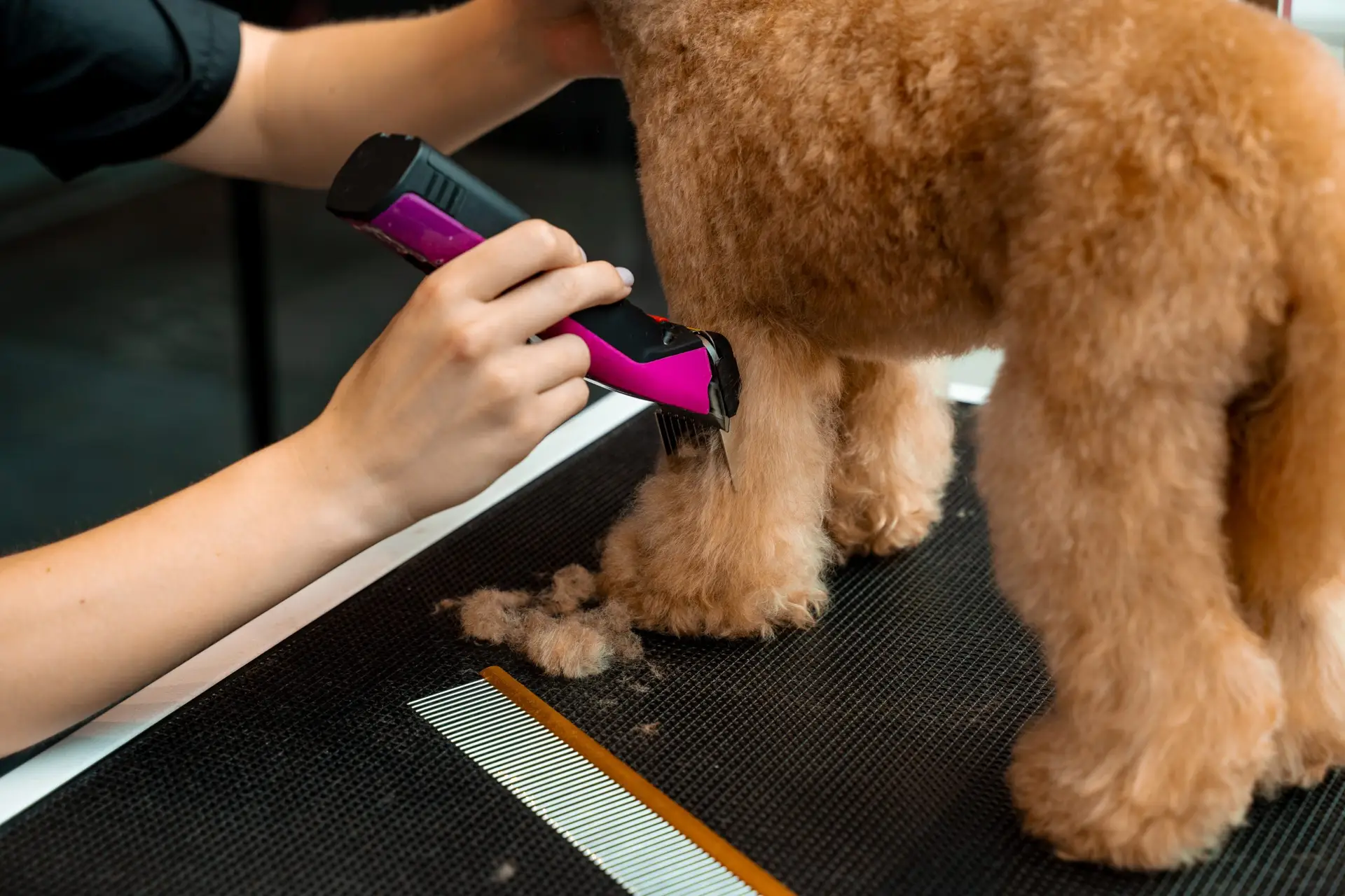How to groom a dog with matted hair safely at home