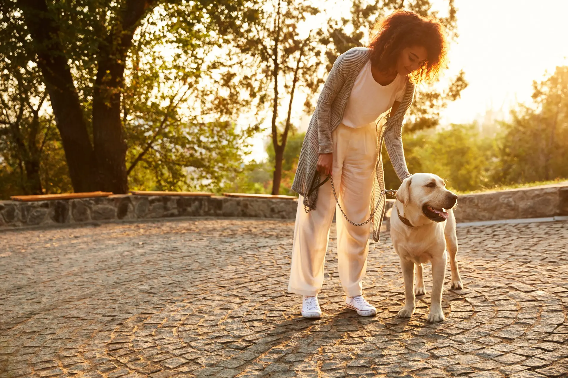 When is it too hot to walk a dog? Expert guidelines
