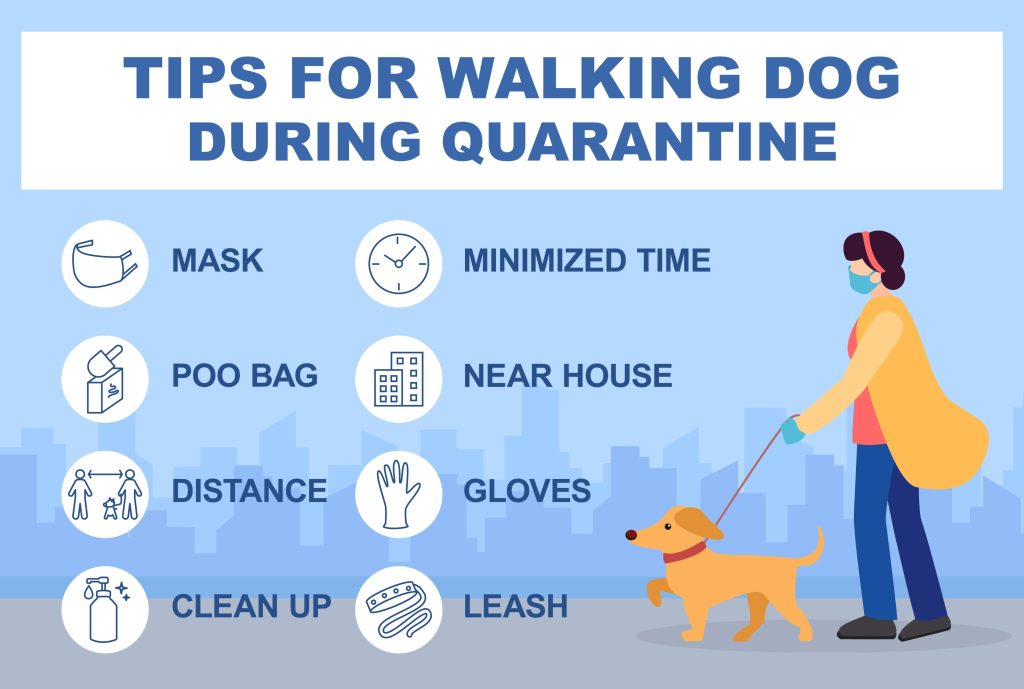 Dog Boarding Services 1 dog boarding services Golden Paw