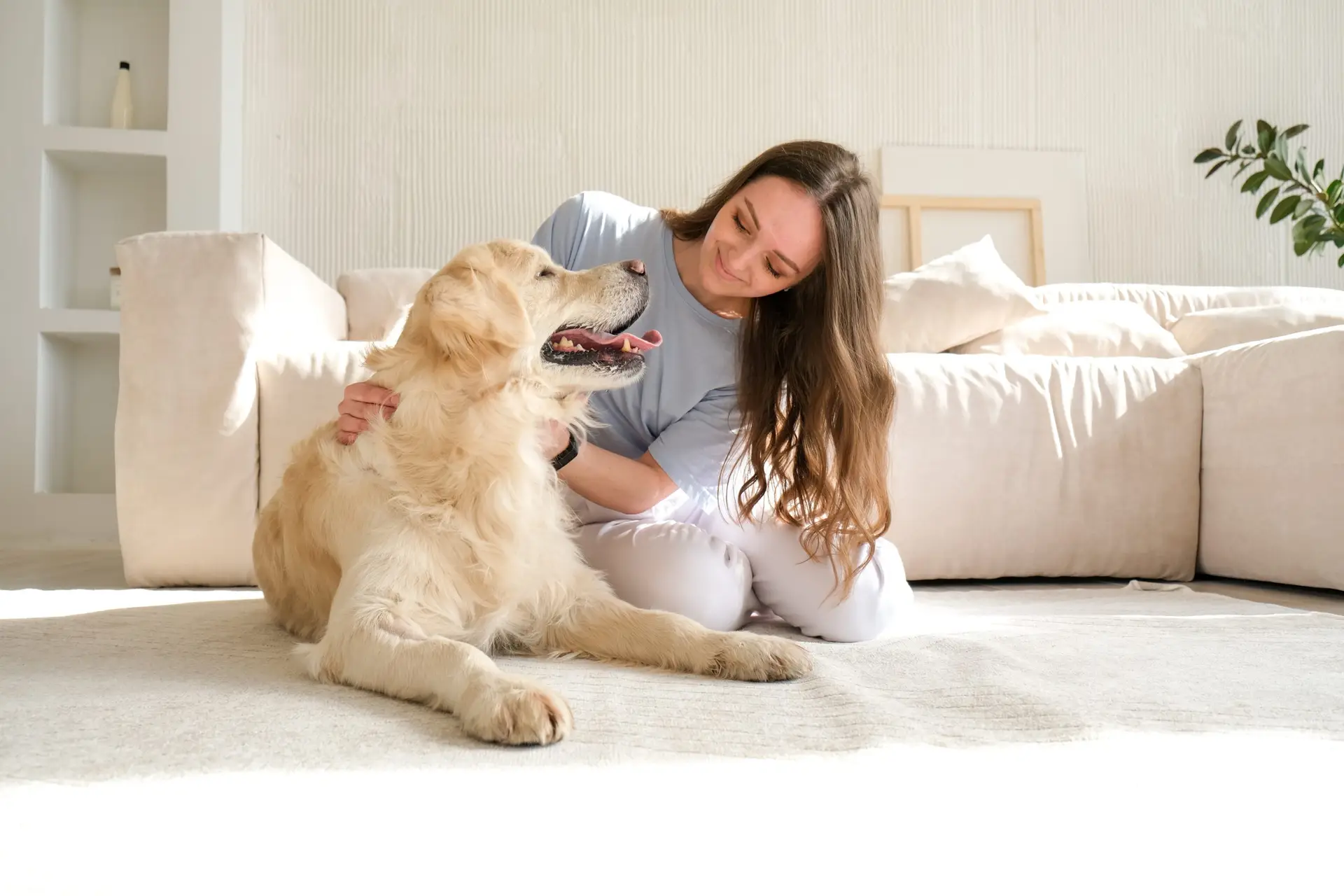 Blogs 22 Dog sitting services: Safe care while you’re away