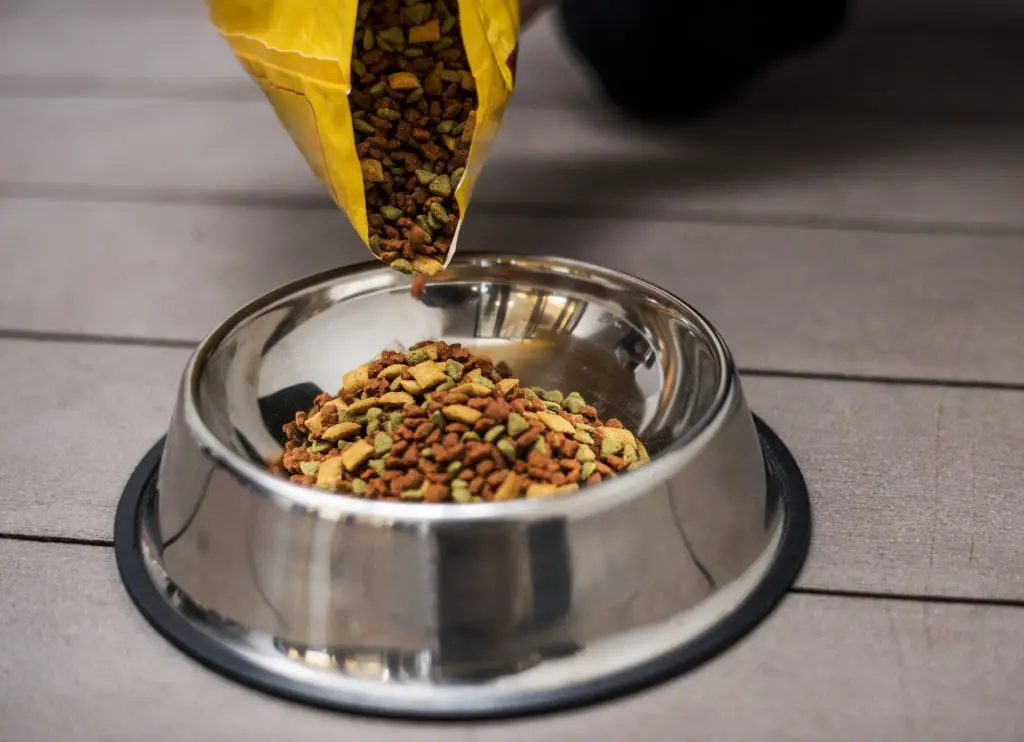What’s the Difference Between Puppy Food and Adult Dog Food? 1 Puppy Food vs Adult Dog Food