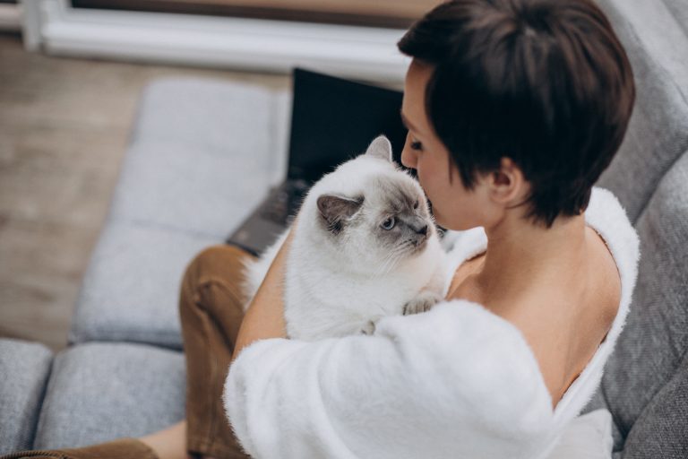 Why Does My Cat Put His Paw on My Face