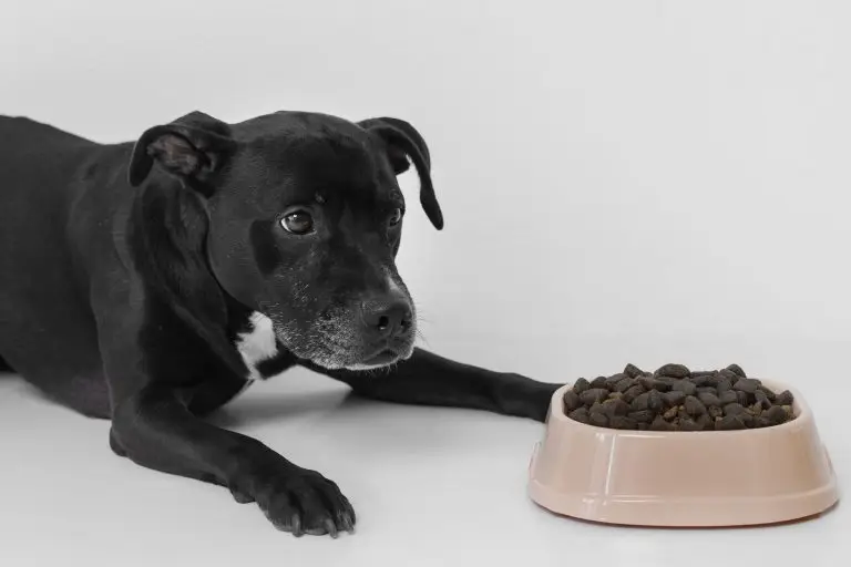 Blogs 10 Stop Resource Guarding in Dogs