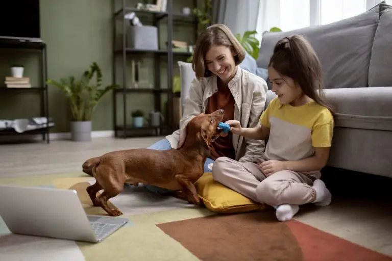 Best Dog Breeds for Families With Children