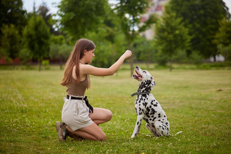 Blogs 8 Positive Reinforcement Dog Training Explained